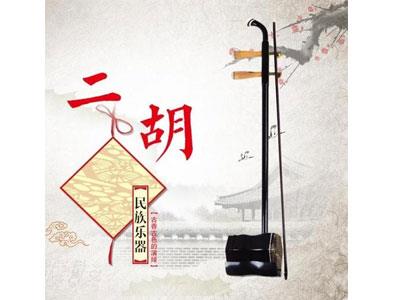 招聘盘锦二胡家教老师